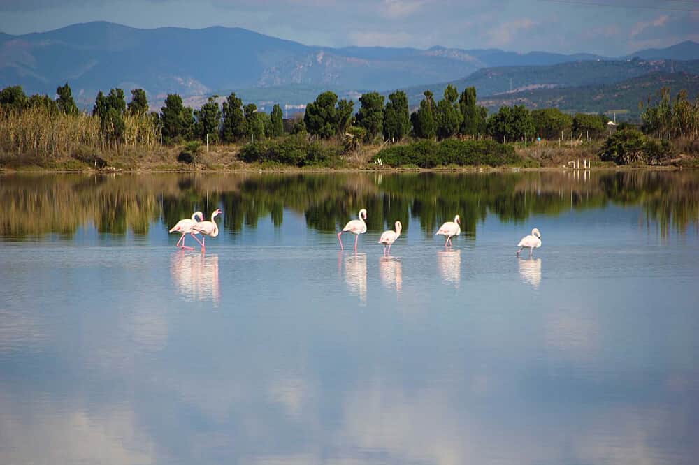 6 Day The Embody lemuria Experience Retreat, Sardinia, Italy 2