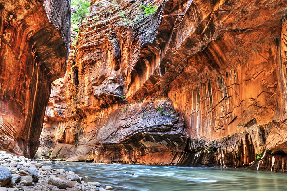 4 Day Private Solo Wellness Retreat Near Zion National Park, USA 2