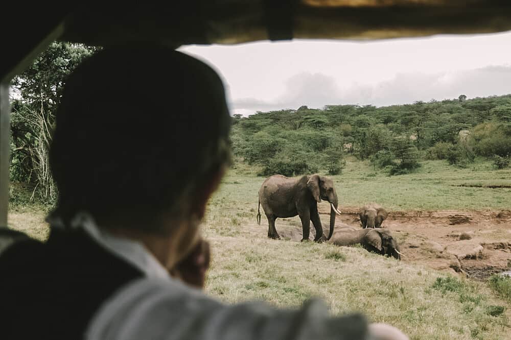 8 Day All-Inclusive Safari and Yoga Retreat in Kenya 7