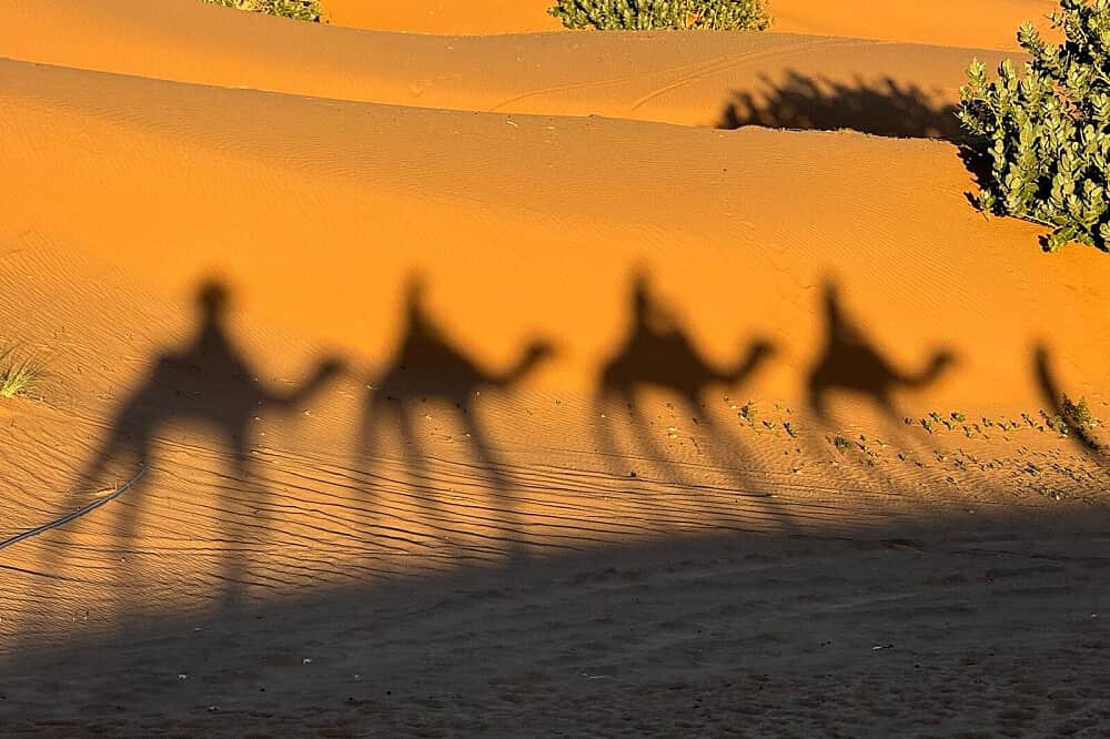 9 Day Finding Inner Strength: Yoga & Exploration Retreat, Morocco 3