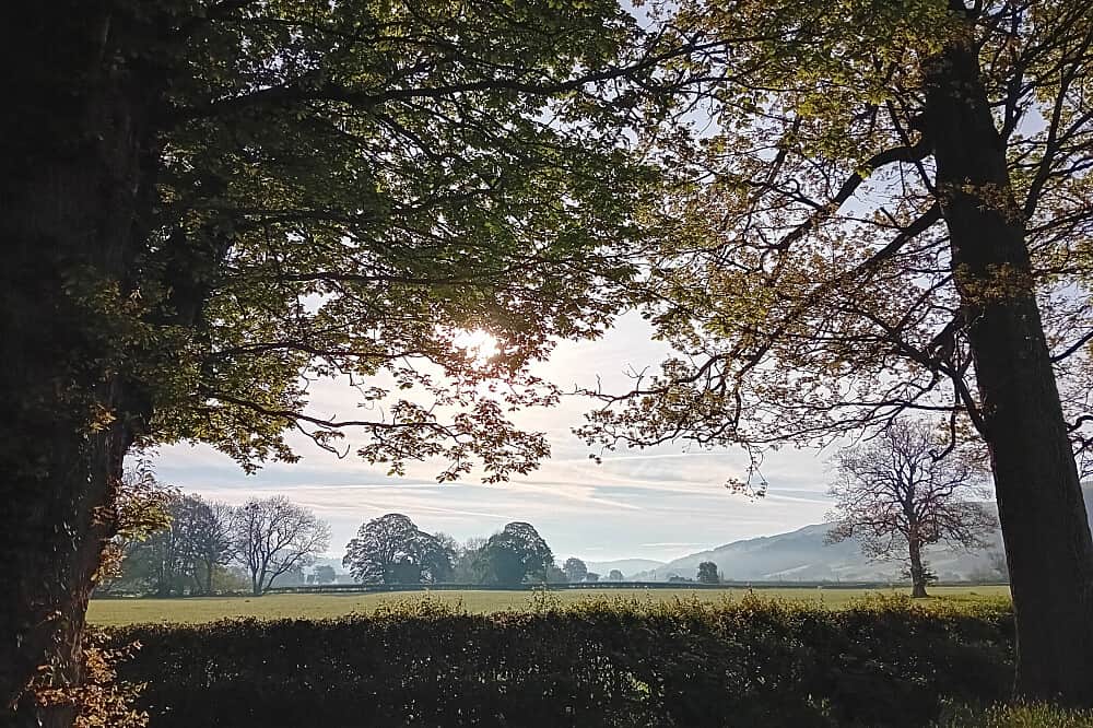 4 Day Juicing Retreat in the Countryside in Wales 7