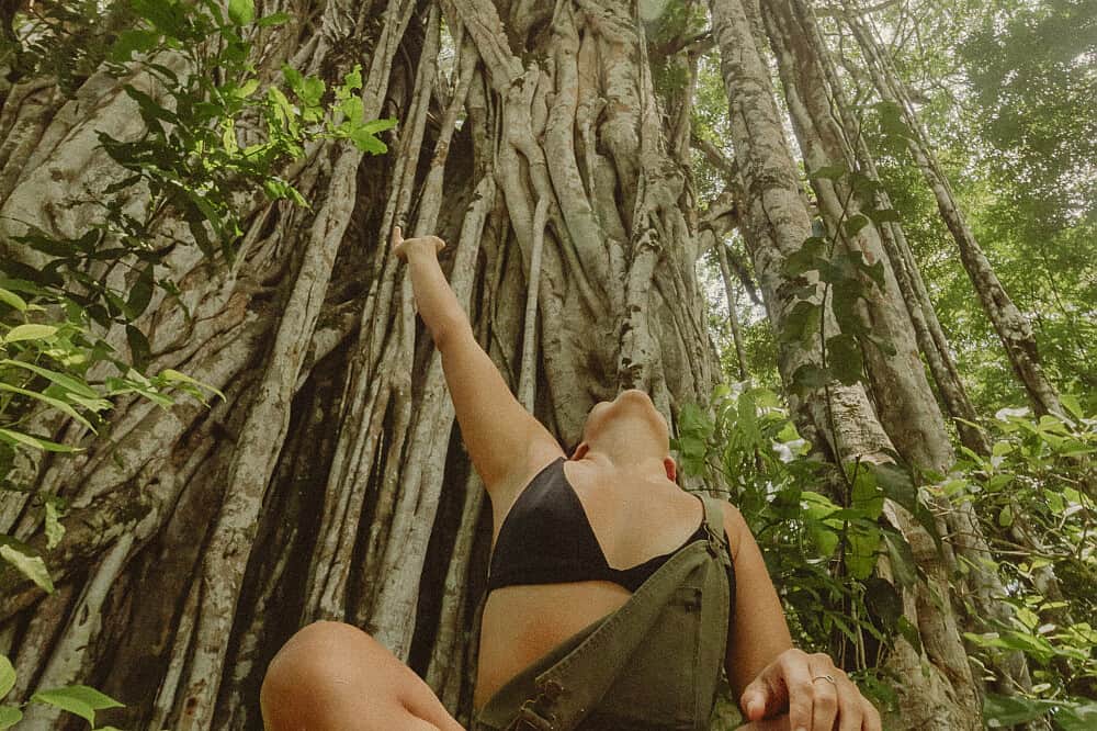 7 Day 'Wake Up Your Spirit" Yoga & Surf Retreat, Costa Rica 1