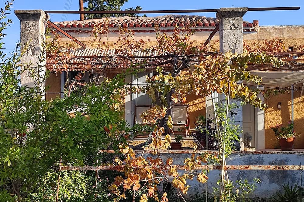 8 Day Creative Flow Exploring Ceramics on Aegina Island, Greece 6