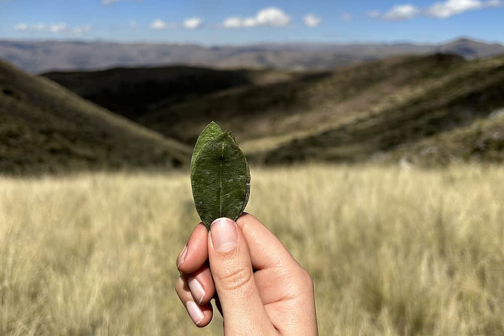 4 Day Trek to Sacred Inca Site with Shamanic Rituals in Peru 3