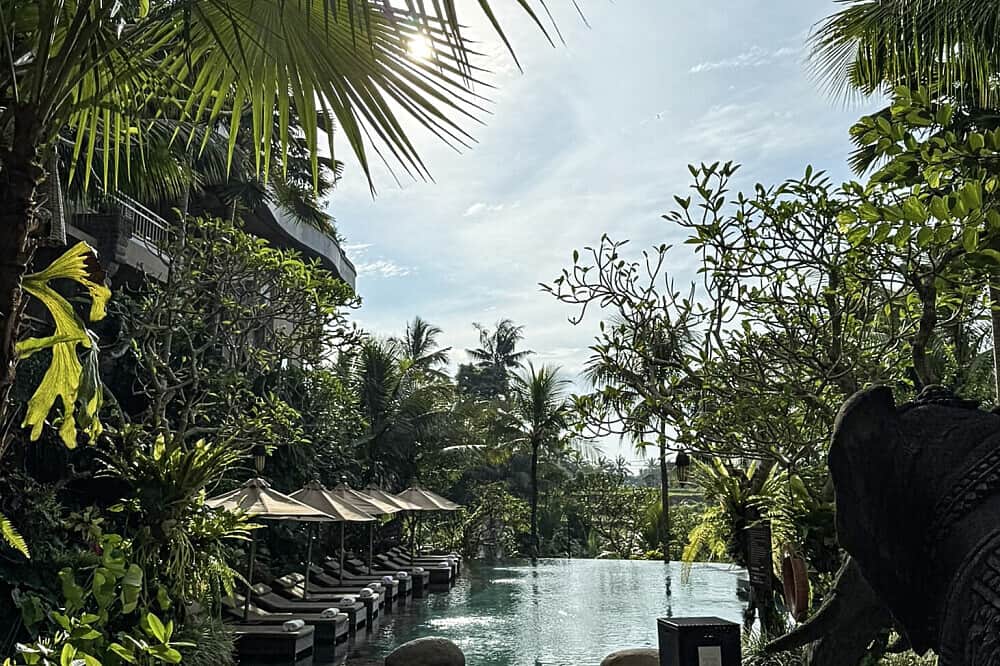 7 Day Reset, Radiate & Rise: Luxury Healing Retreat in Bali 5