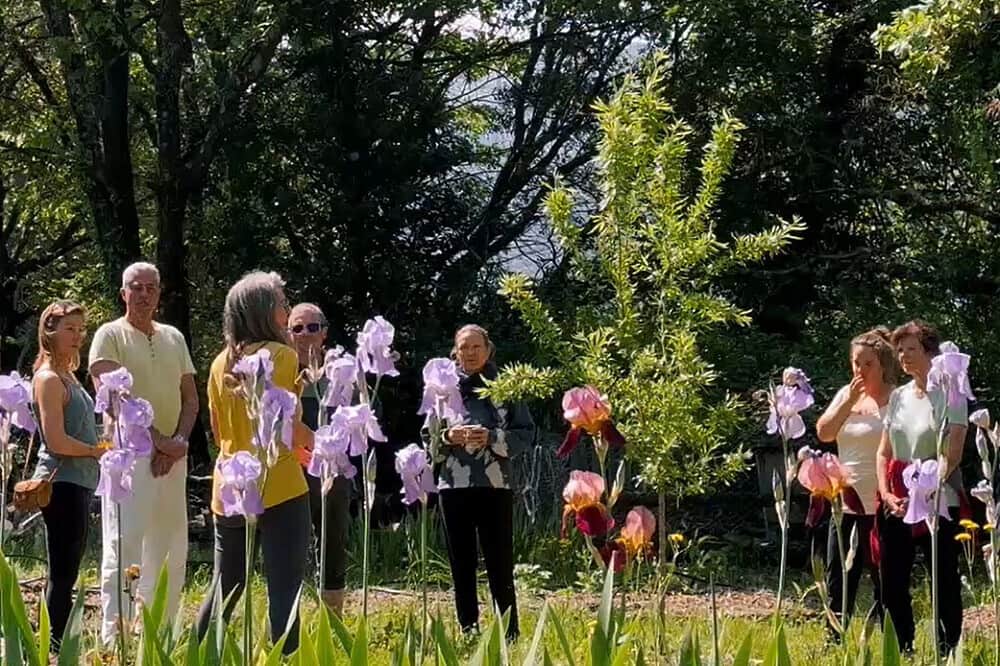 8 Day The 7 Chakra Journey Transformative Retreat in France 1