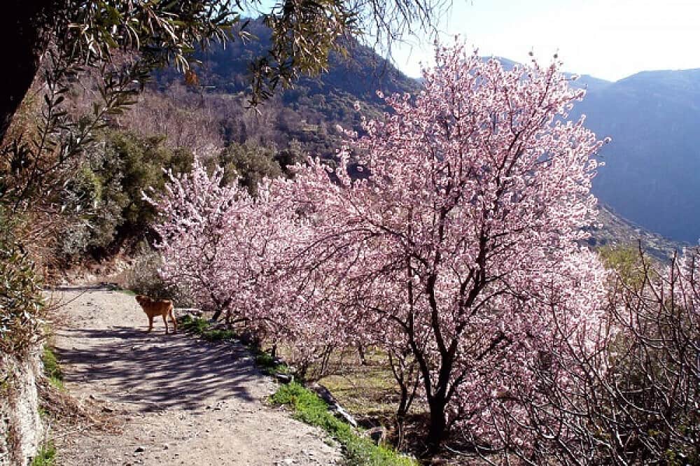 5 Day Retire Happily Together, Private Couples Retreat in Spain 6