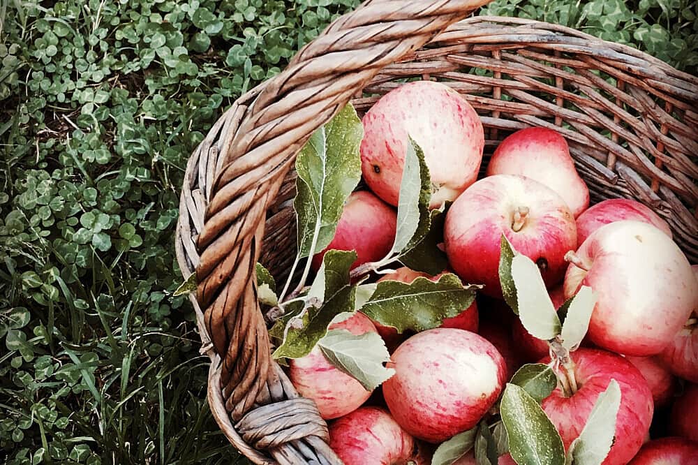 5 Day Retire Happily Together, Private Couples Retreat in Spain 7