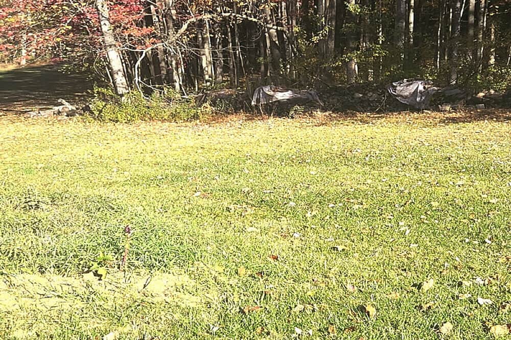 11 Day Fasting, Detox, Wellness & Graceful Reset Retreat, MD USA 6