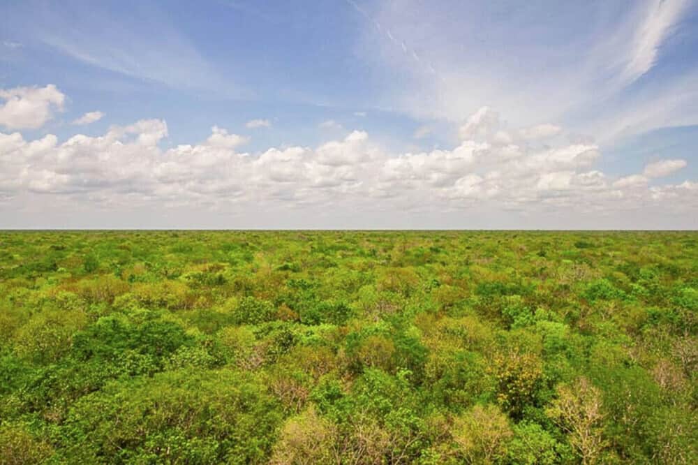 7 Day Overcome Addiction Private Plant Medicine Retreat, Mexico 5