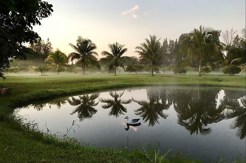 4 Days Ayurvedic Detox Weekend Retreat in Florida, USA 5