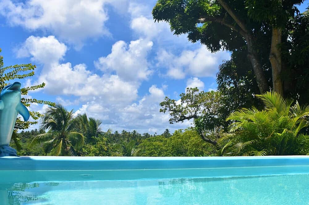 15 Day Yoga and Meditation Detox Retreat in Bahia, Brazil 4