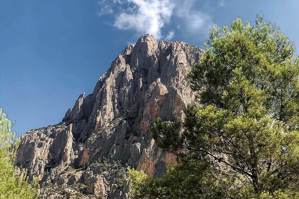 4 Day Digital Detox & Reconnect Retreat in Spain 6