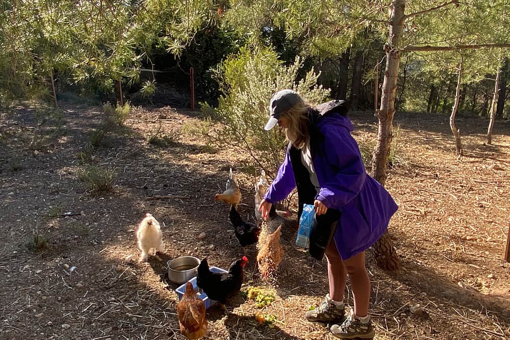 4 Day Digital Detox & Reconnect Retreat in Spain 3