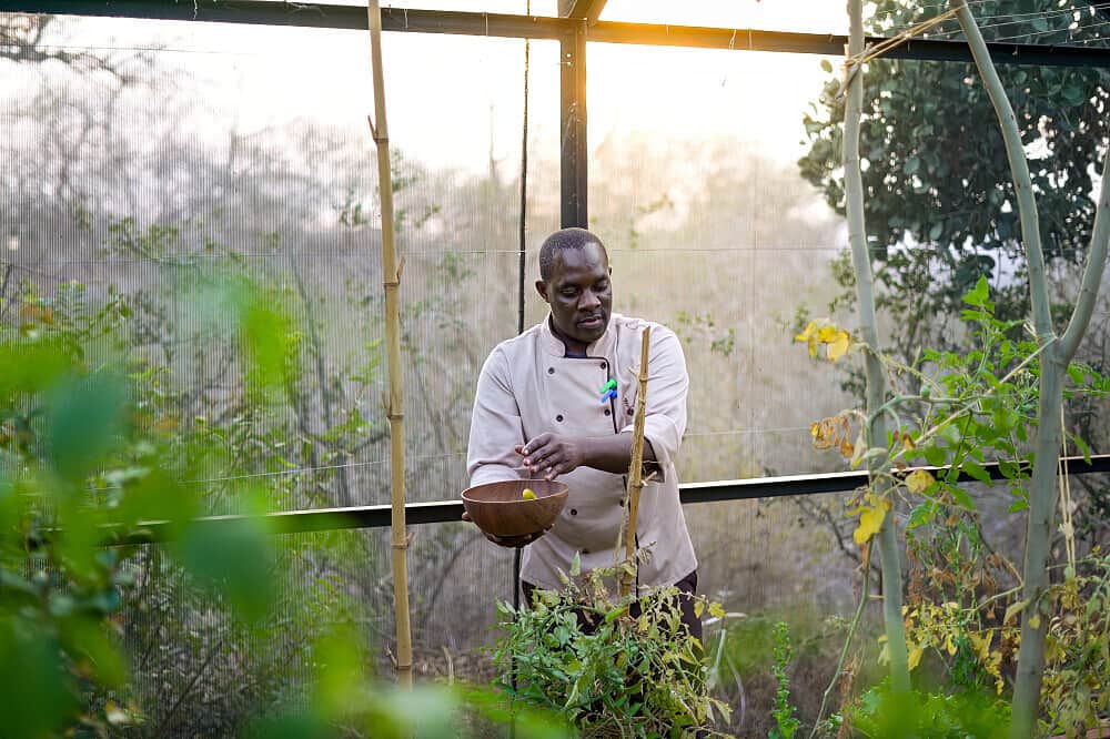 8 Day Waves & Wildlife Yoga Retreat, Kenya 5