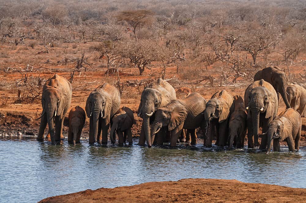 8 Day Waves & Wildlife Yoga Retreat, Kenya 3