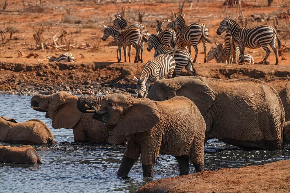 8 Day Waves & Wildlife Yoga Retreat, Kenya 1