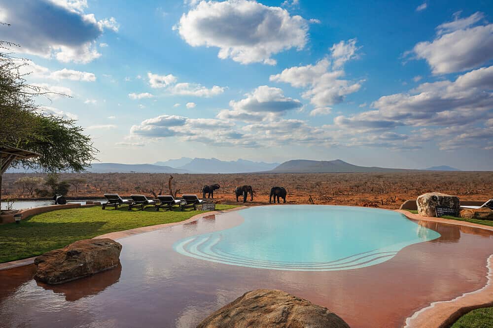 8 Day Waves & Wildlife Yoga Retreat, Kenya 2