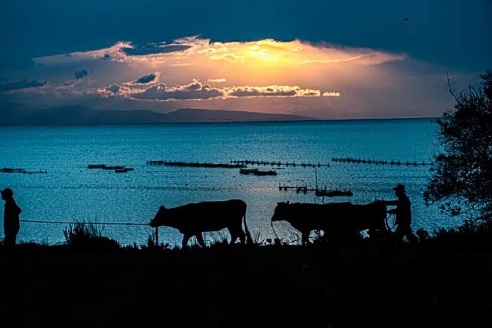 11 Day The Art of Breathing - Andean Vision Retreat in Bolivia 3