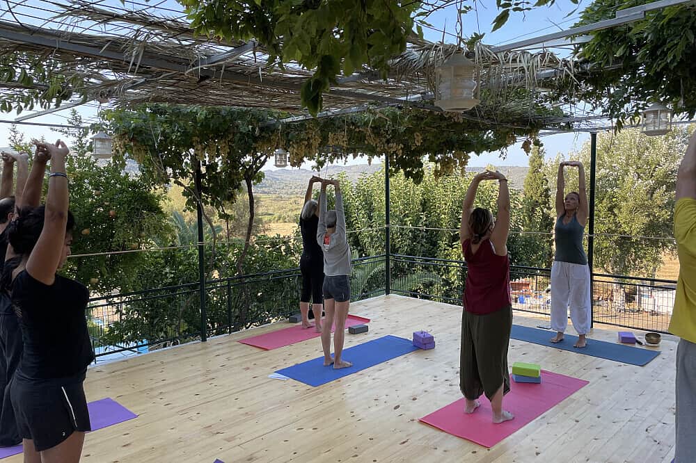 8 Day Yoga holiday in the Island of Poets, Lesvos, Greece 5