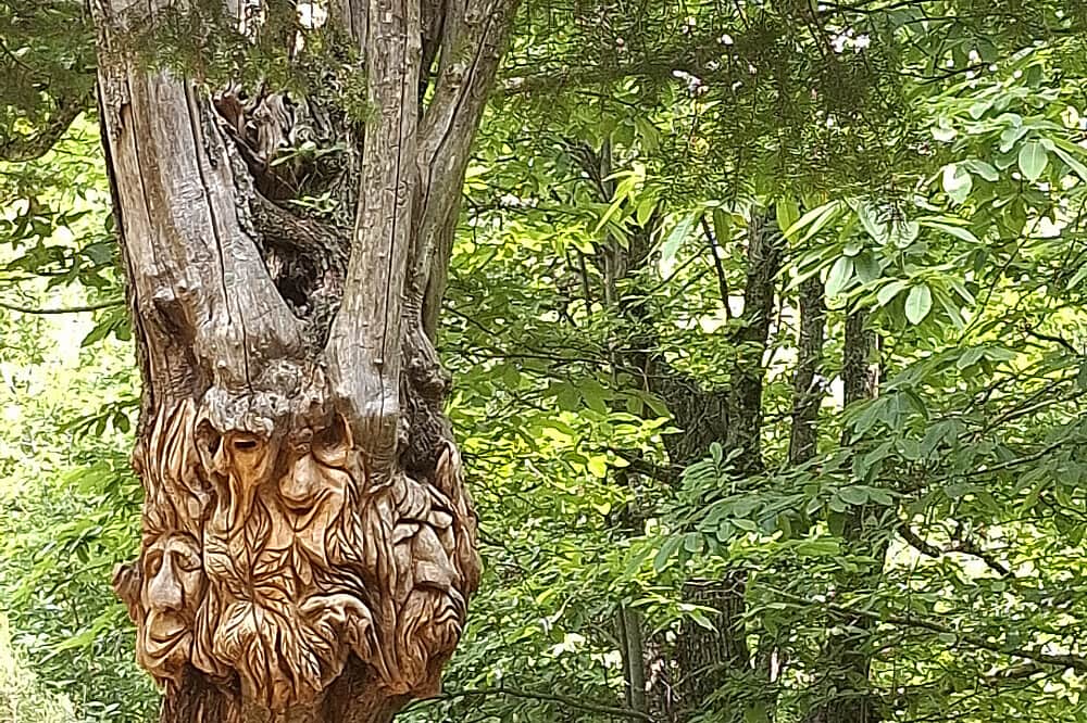 6 Day Forest & Mountain Serenity: Natural Rebalance & Detox in Tuscany, Italy 5