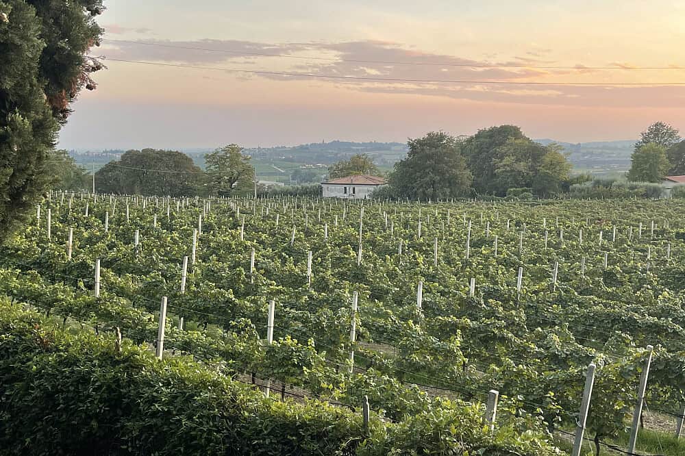 10 Day Luxury Yoga Retreat in Italy 6