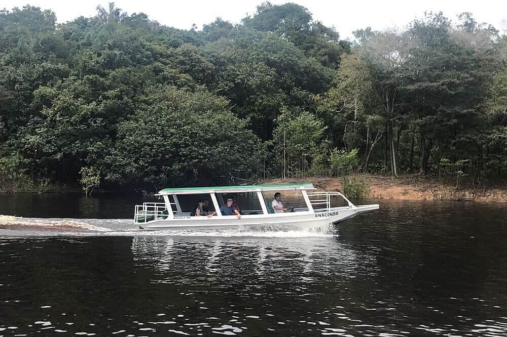 3 Day Educational Jungle Walk Adventure Tour in Manaus, Brazil 7