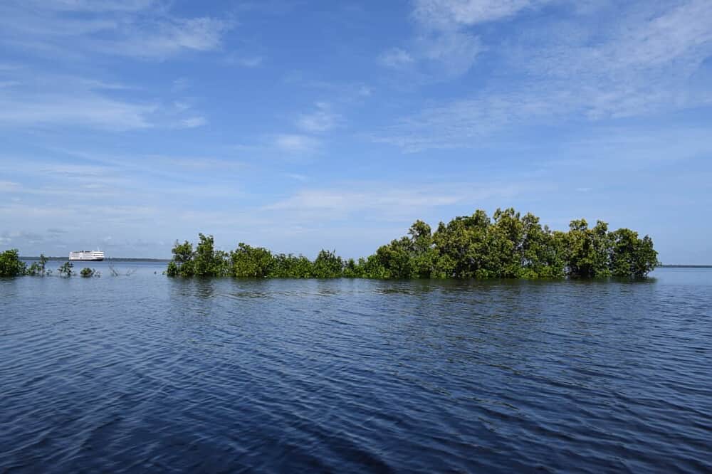 3 Day Educational Jungle Walk Adventure Tour in Manaus, Brazil 5