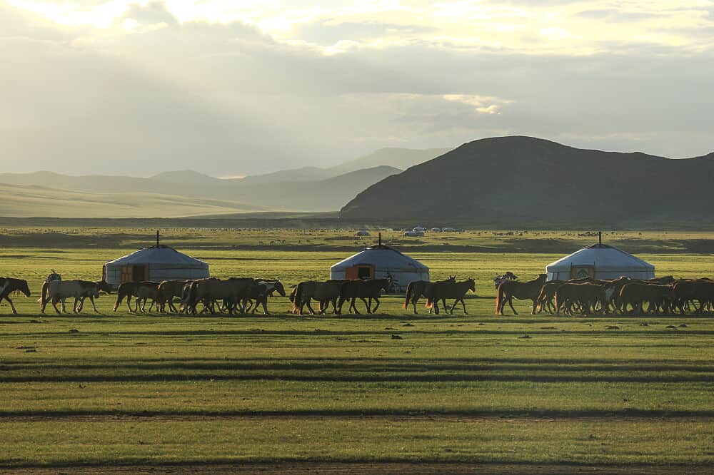 12 Day Glamping & Naadam Festival Retreat in Mongolia 4