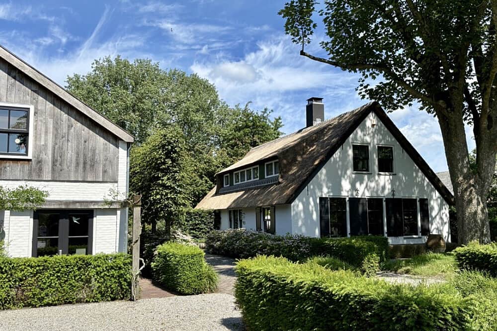 3 Day Guided Psilocybin Retreat in the Netherlands 2