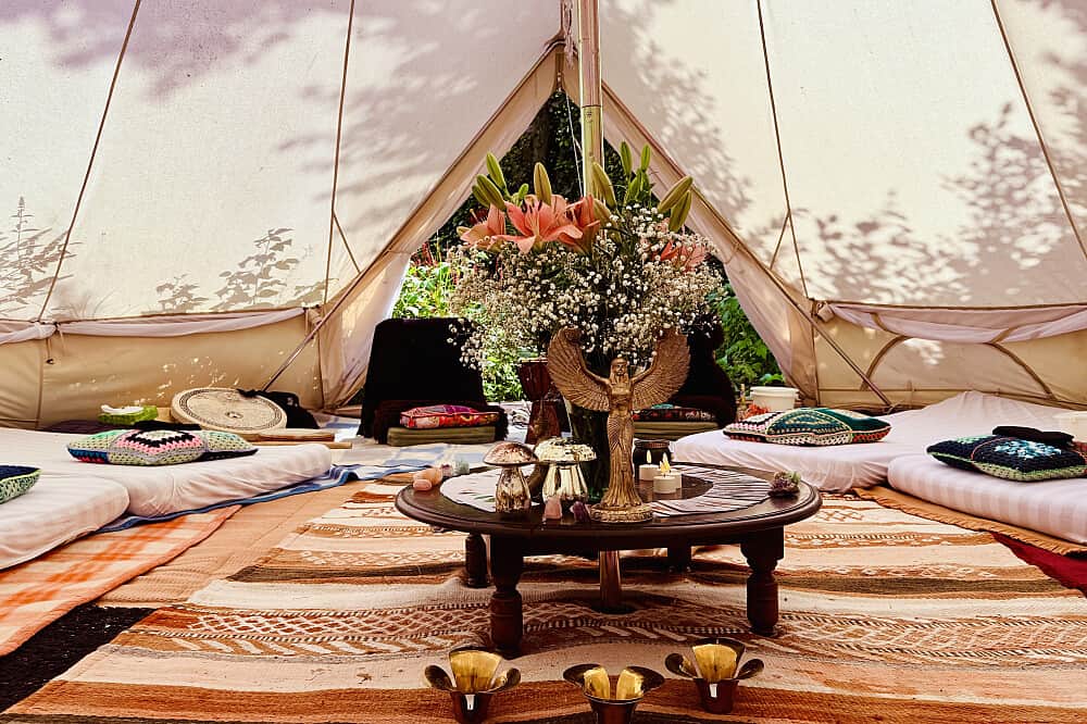 3 Day Guided Psilocybin Retreat in the Netherlands 4