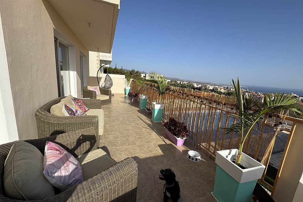 7 Day Puppy Yoga Retreat: Find Peace and Inner Balance in Cyprus 4