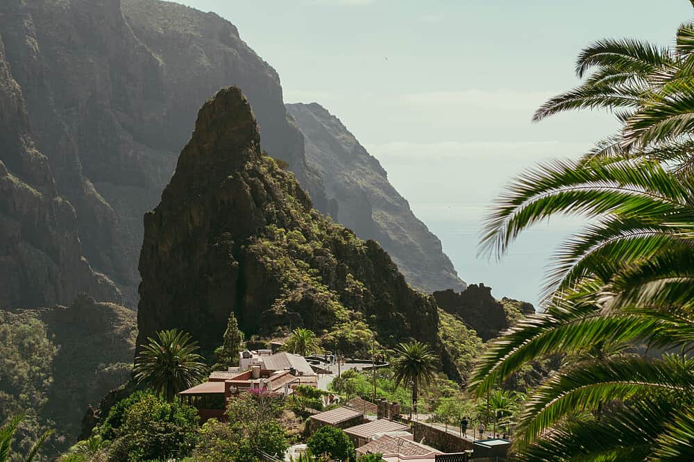4 Day Ayahuasca Retreat in Tenerife, Canary Islands 8