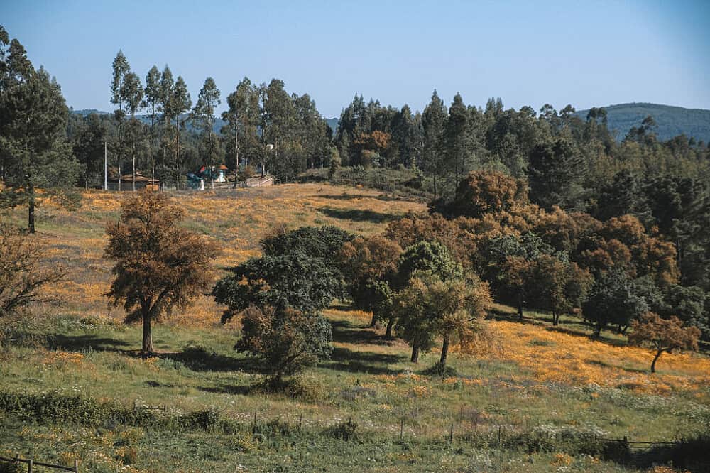 5 Day Ecstatic Dance Retreat in Central Portugal 3
