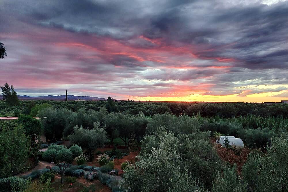 6 Day Unwind & Rewild Yoga - Explore the White Coast, Morocco 6