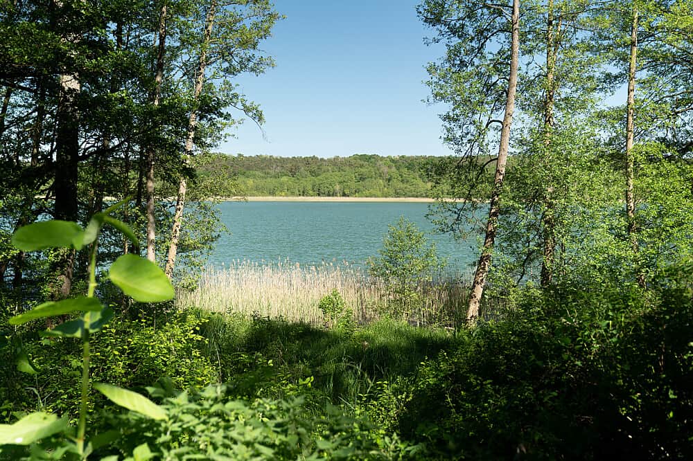 5 Day Sacred Sisterhood: Yoga & Coaching Women's Retreat, Germany 3