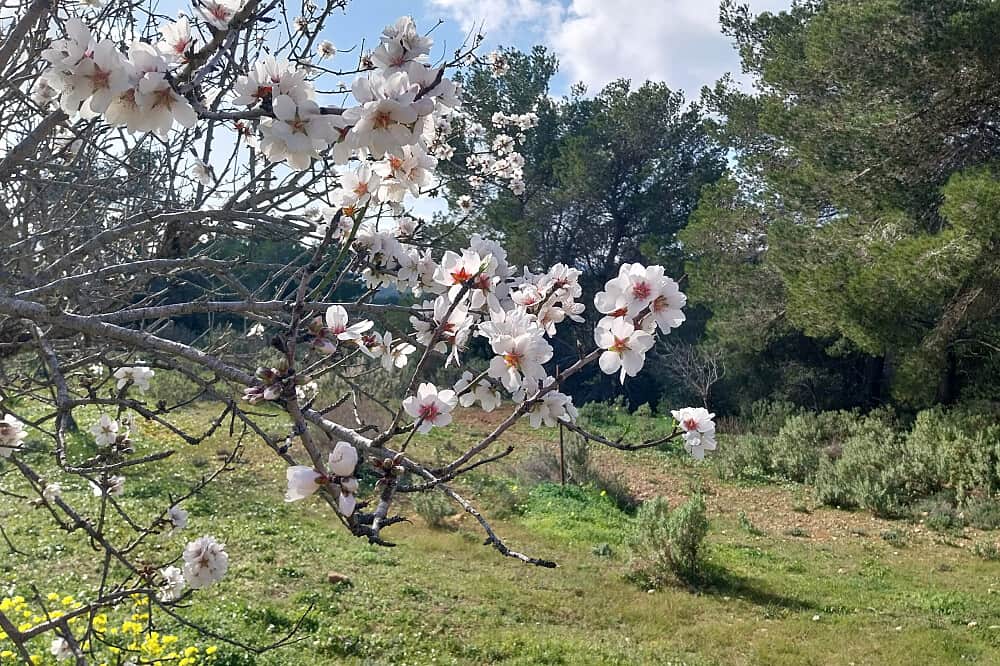 3 Day 1-on-1 Authenticity Retreat in Spain 5