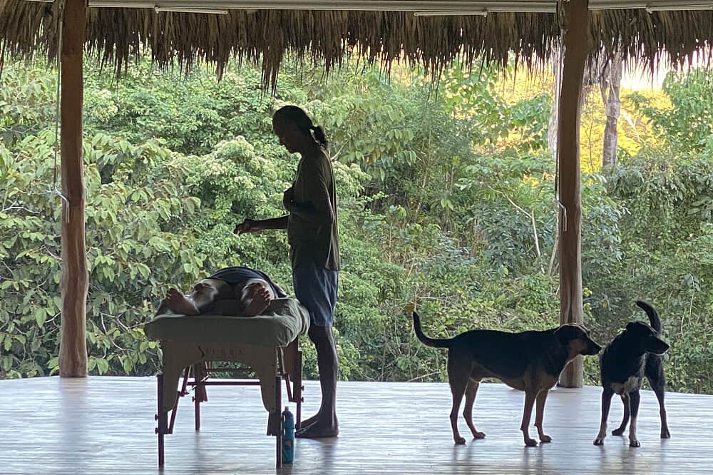 6 Day 'Energize and Align with Nature" in Costa Rica 5