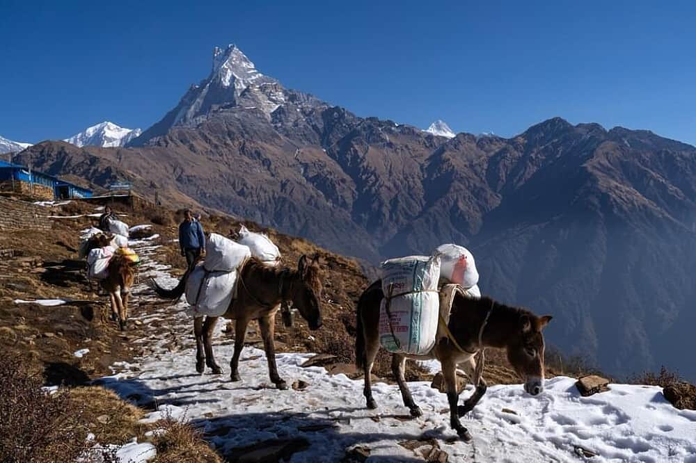 7 Day Himalayan Harmony: A Yoga & Wellness Mardi Himal Trek Nepal 4