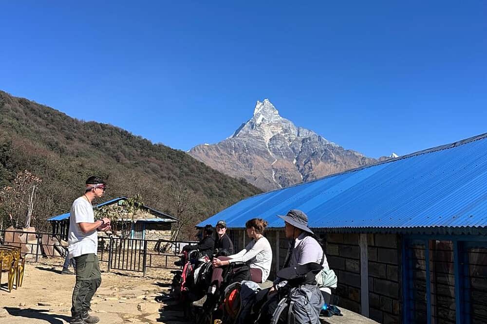 7 Day Himalayan Harmony: A Yoga & Wellness Mardi Himal Trek Nepal 7