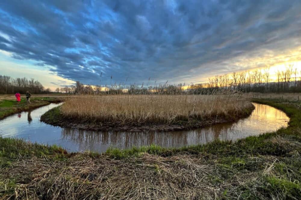 7 Day Power of Psilocybin: The Shift Retreat, Venlo, Netherlands 3