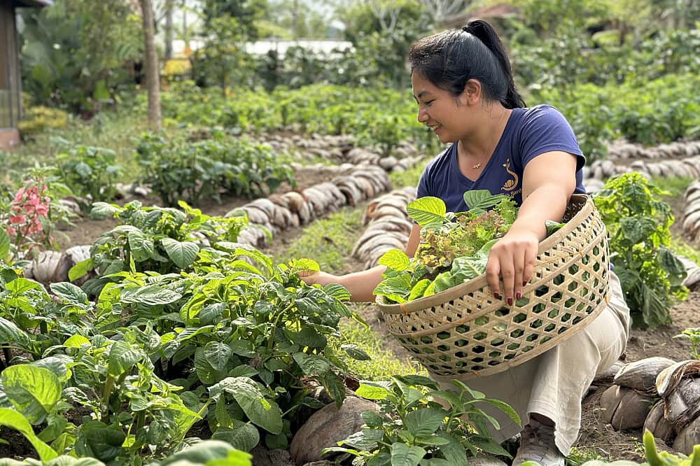 4 Day Silence Retreat: Vipassana Meditation & Mindfulness in Bali 8
