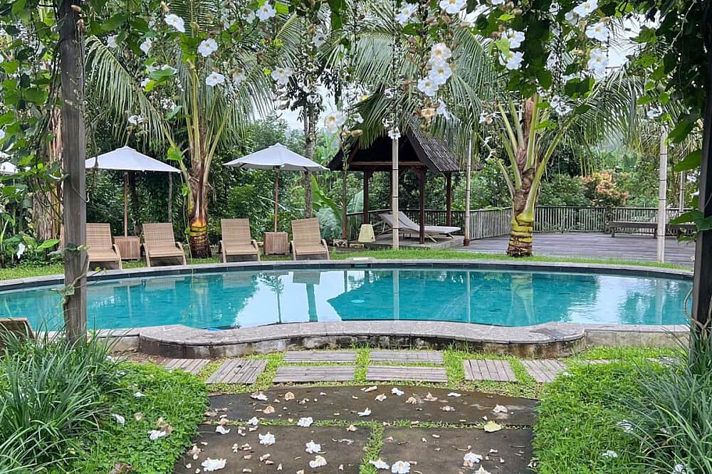 4 Day Silence Retreat: Vipassana Meditation & Mindfulness in Bali 7