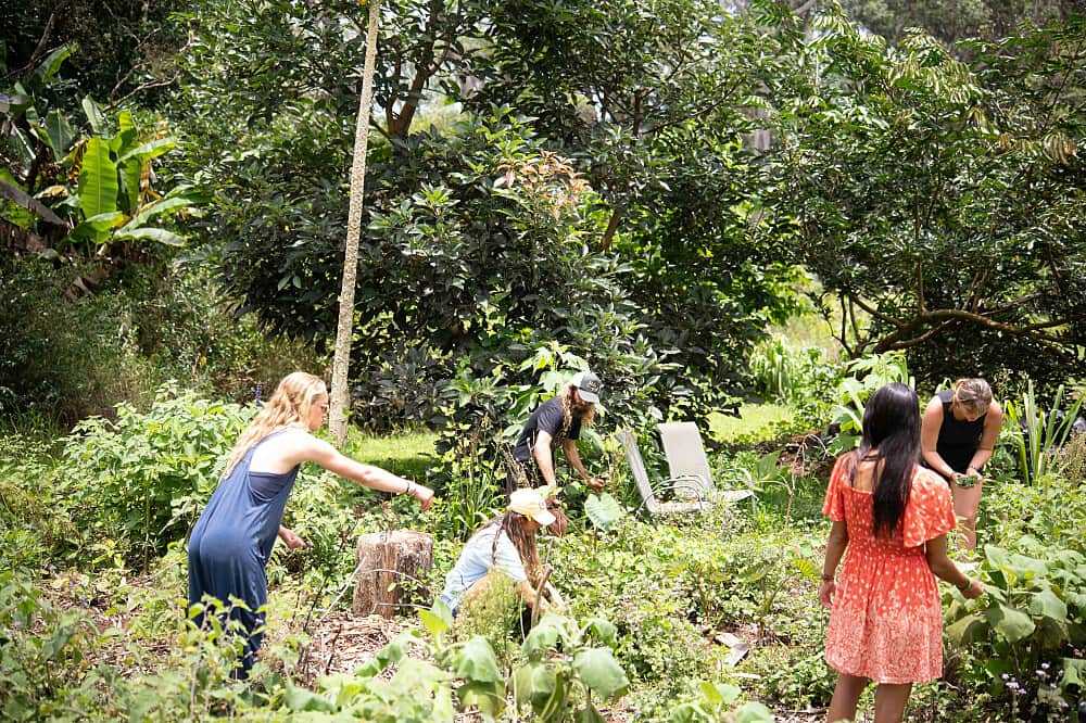 30 Day Hamakua Initiative in Hawaii 7