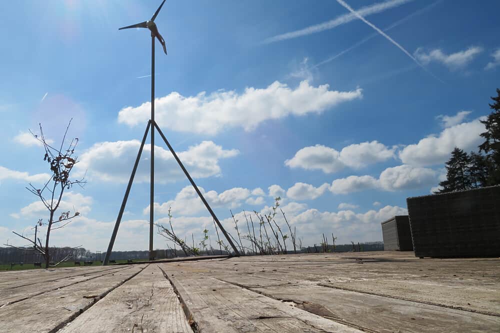 2 Day Private Psilocybin Truffle Ceremony in the Netherlands 7