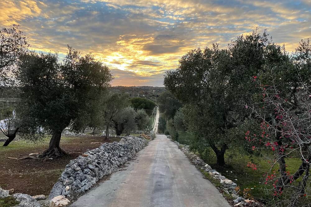 5 Day Reconnect & Renew - Private Healing Retreat, Puglia, Italy 3
