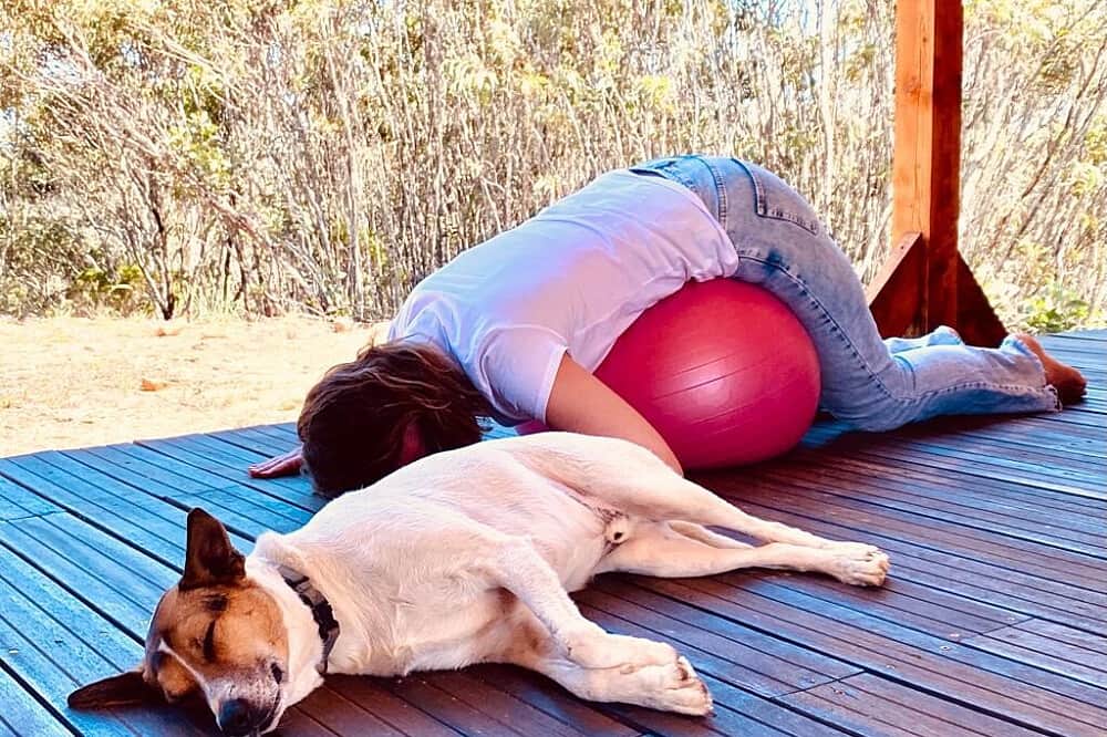 7 Day Ayahuasca, Yoga, Horse Therapy & Meditation in Portugal 7