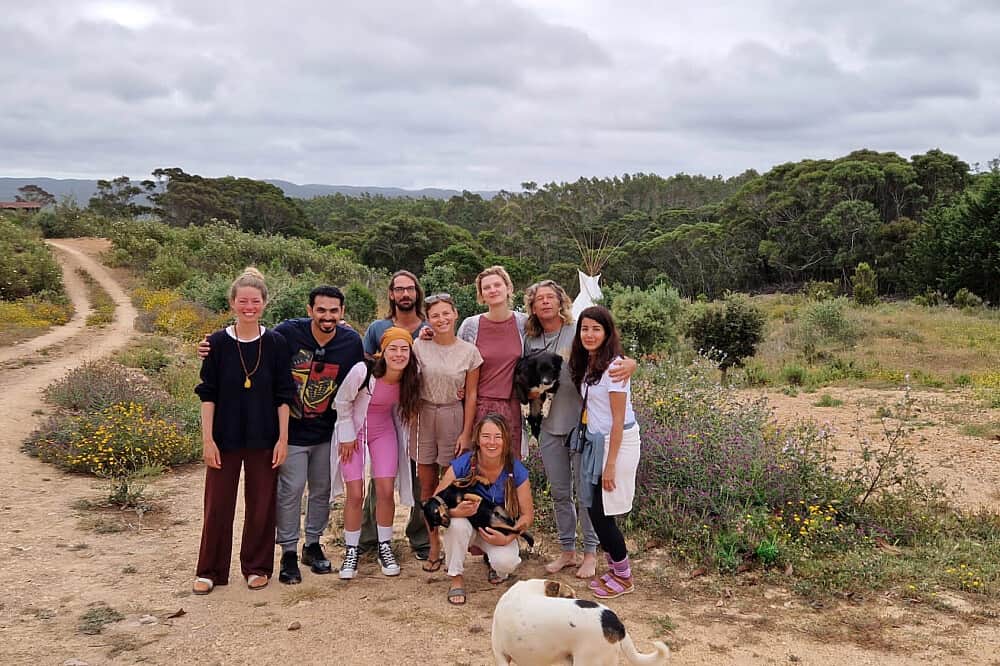 7 Day Ayahuasca, Yoga, Horse Therapy & Meditation in Portugal 3