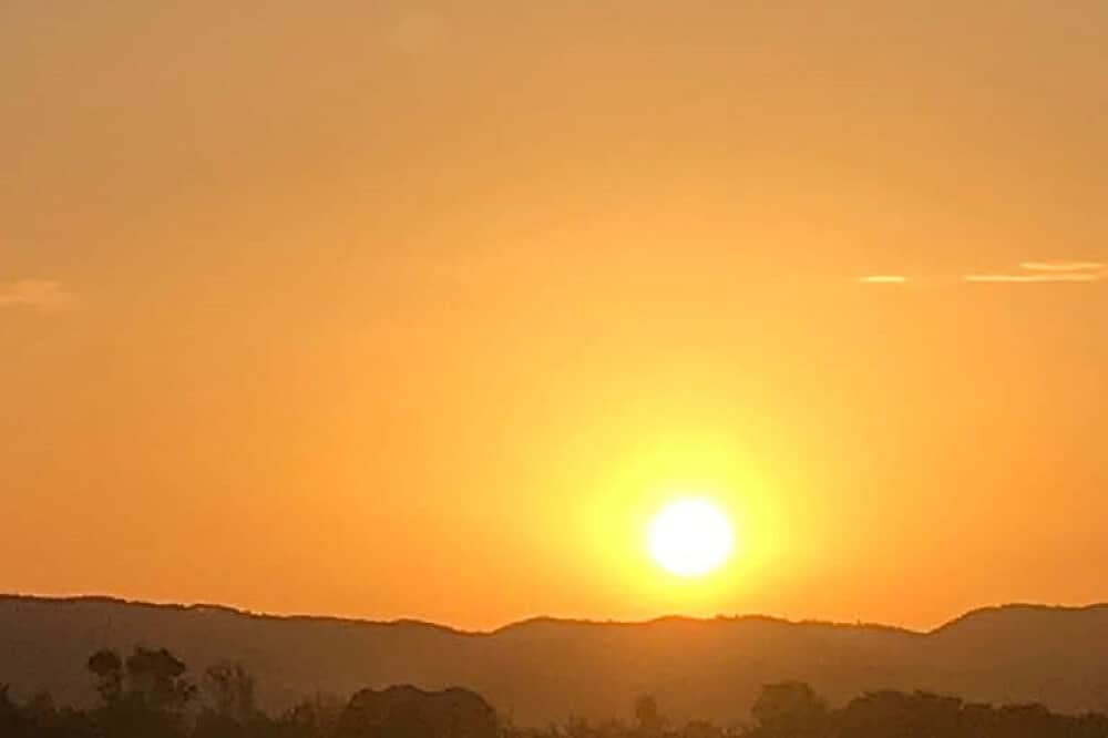 7 Day Ayahuasca, Yoga, Horse Therapy & Meditation in Portugal 5