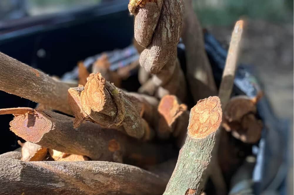 3 Day Medicine Ceremony in Colorado, USA 5